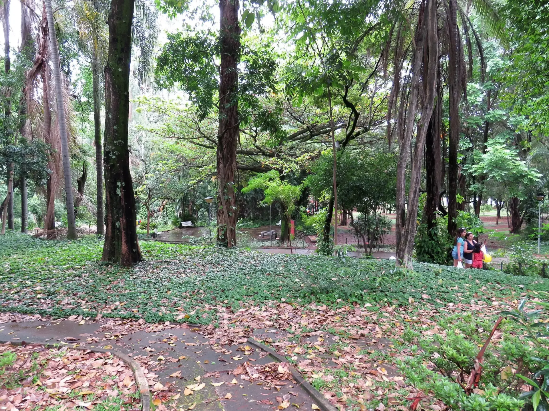 Parque Municipal Américo Renné Giannetti