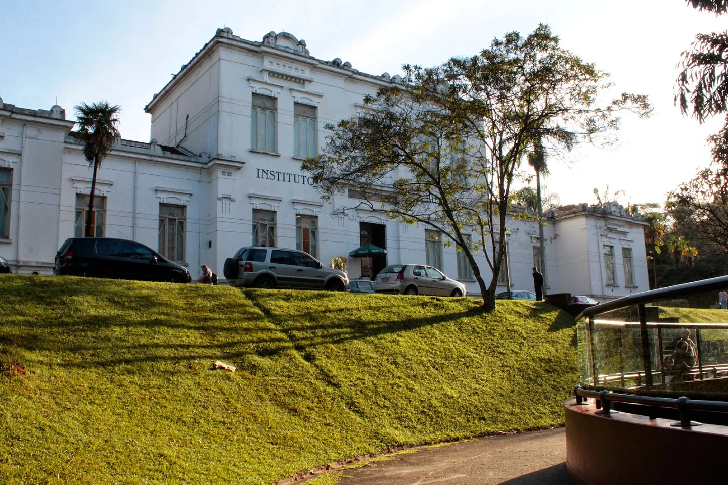 Instituto Butantan