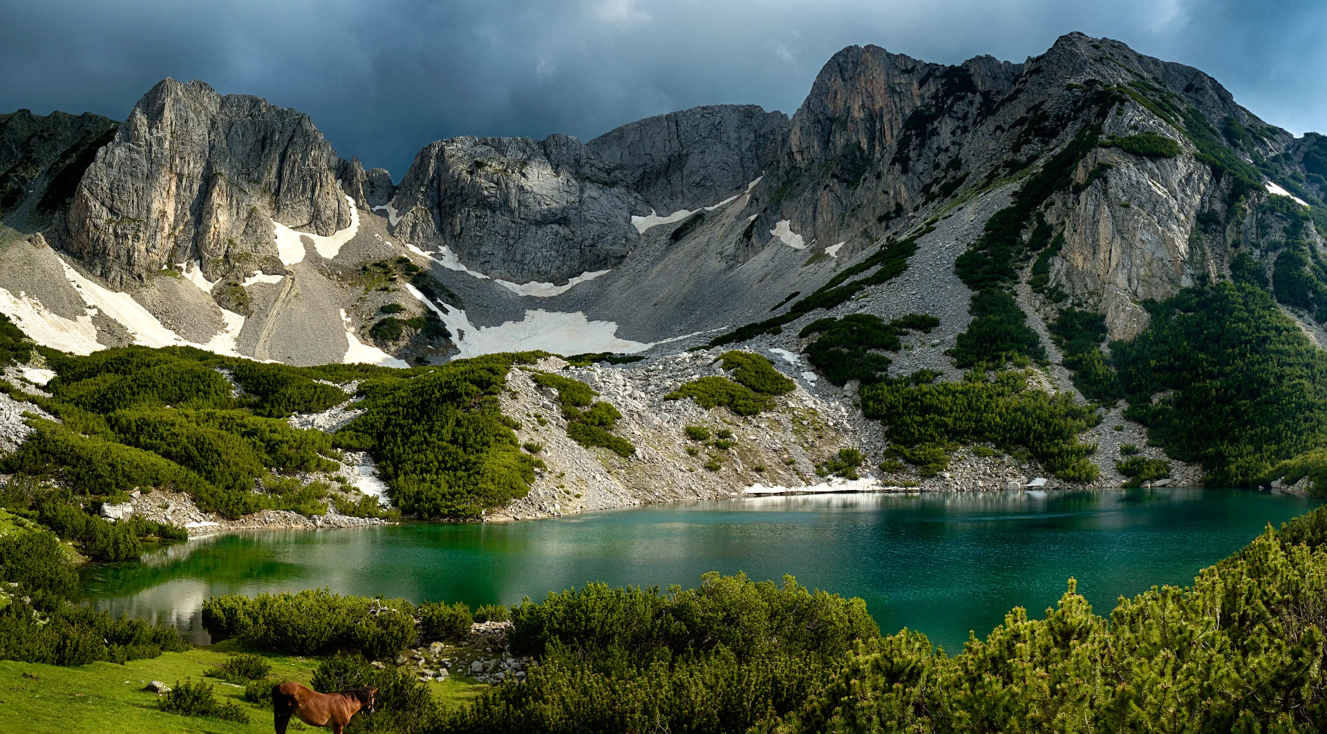 Reserva Natural de Pirin