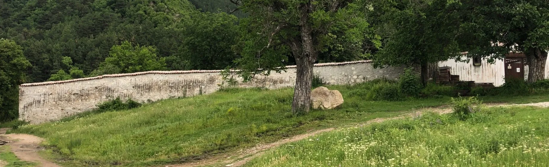 Monte Sredna Gora