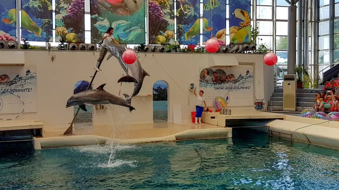 Dolphinarium Varna