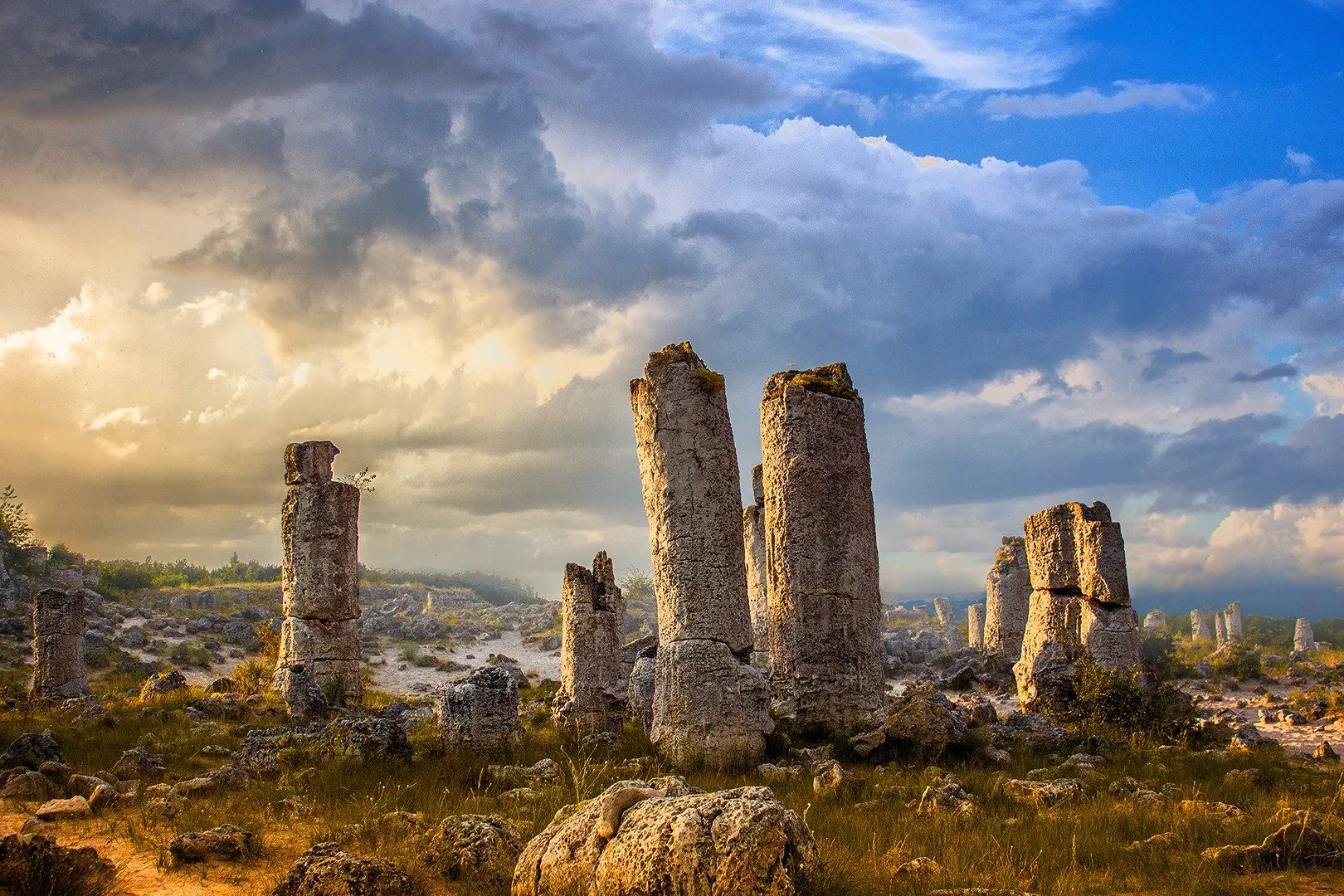 Parque Natural de las Piedras Erguidas (Pobiti Kamani)