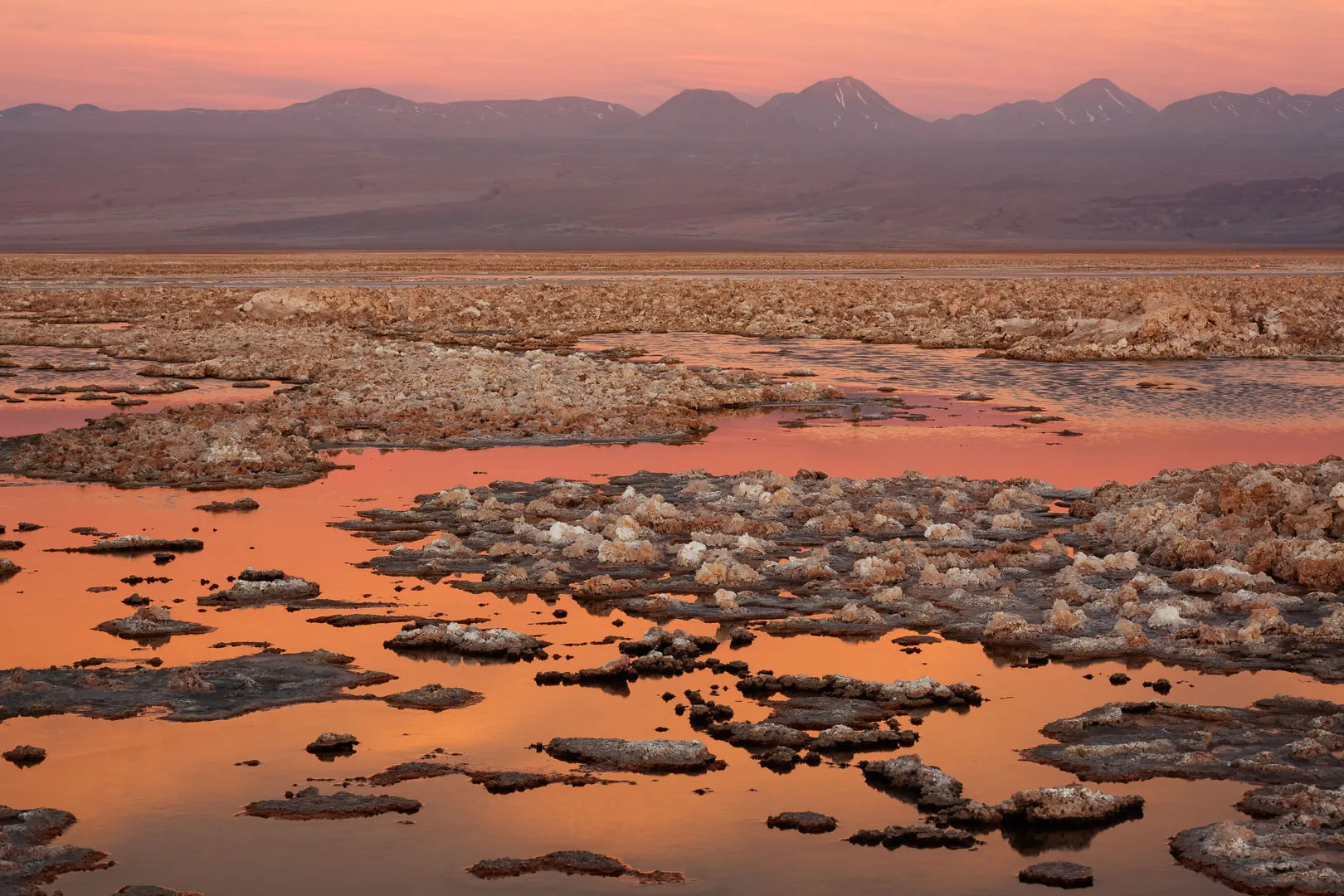 Laguna Chaxa