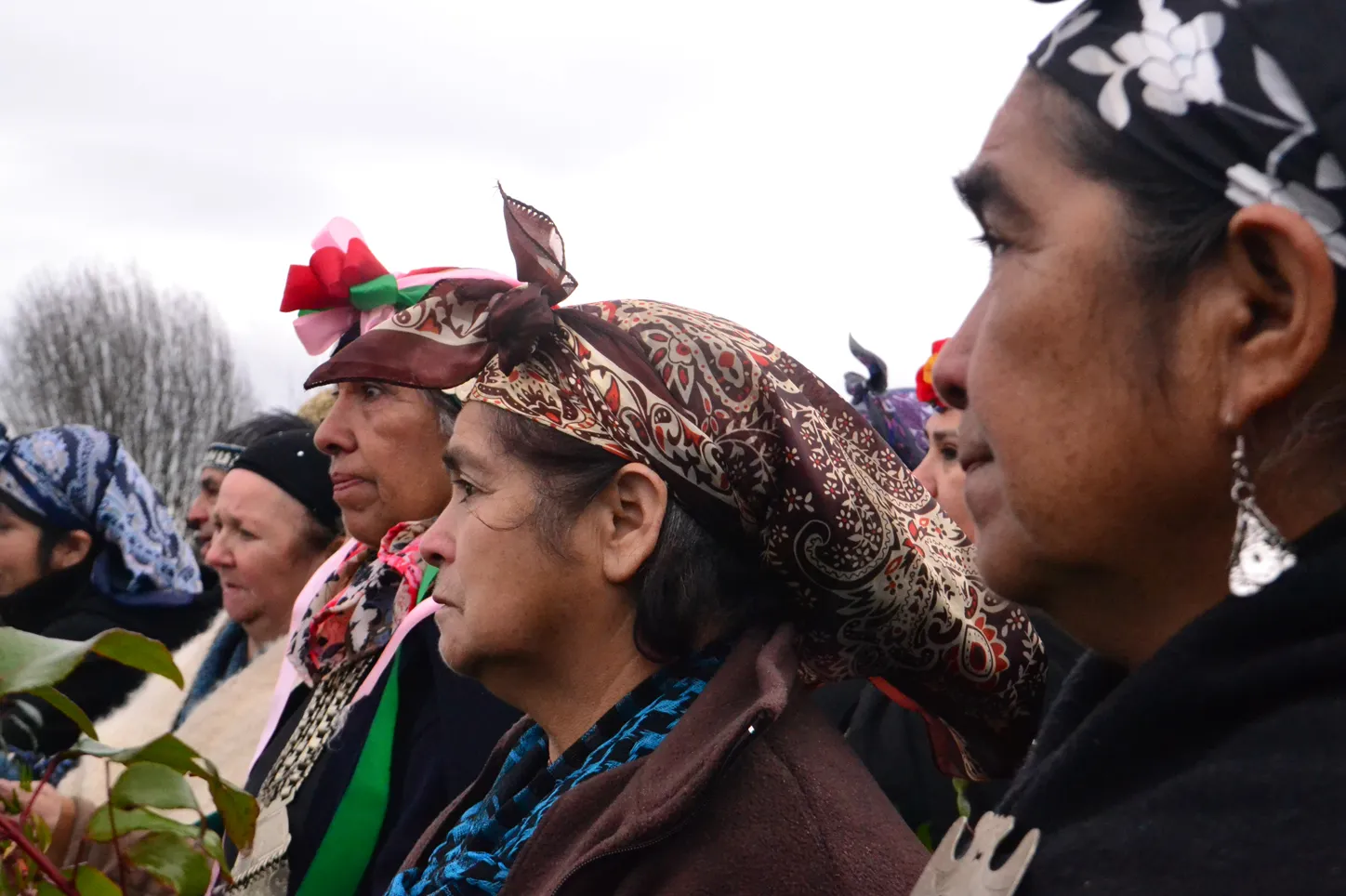 Centro de Interpretación Mapuche