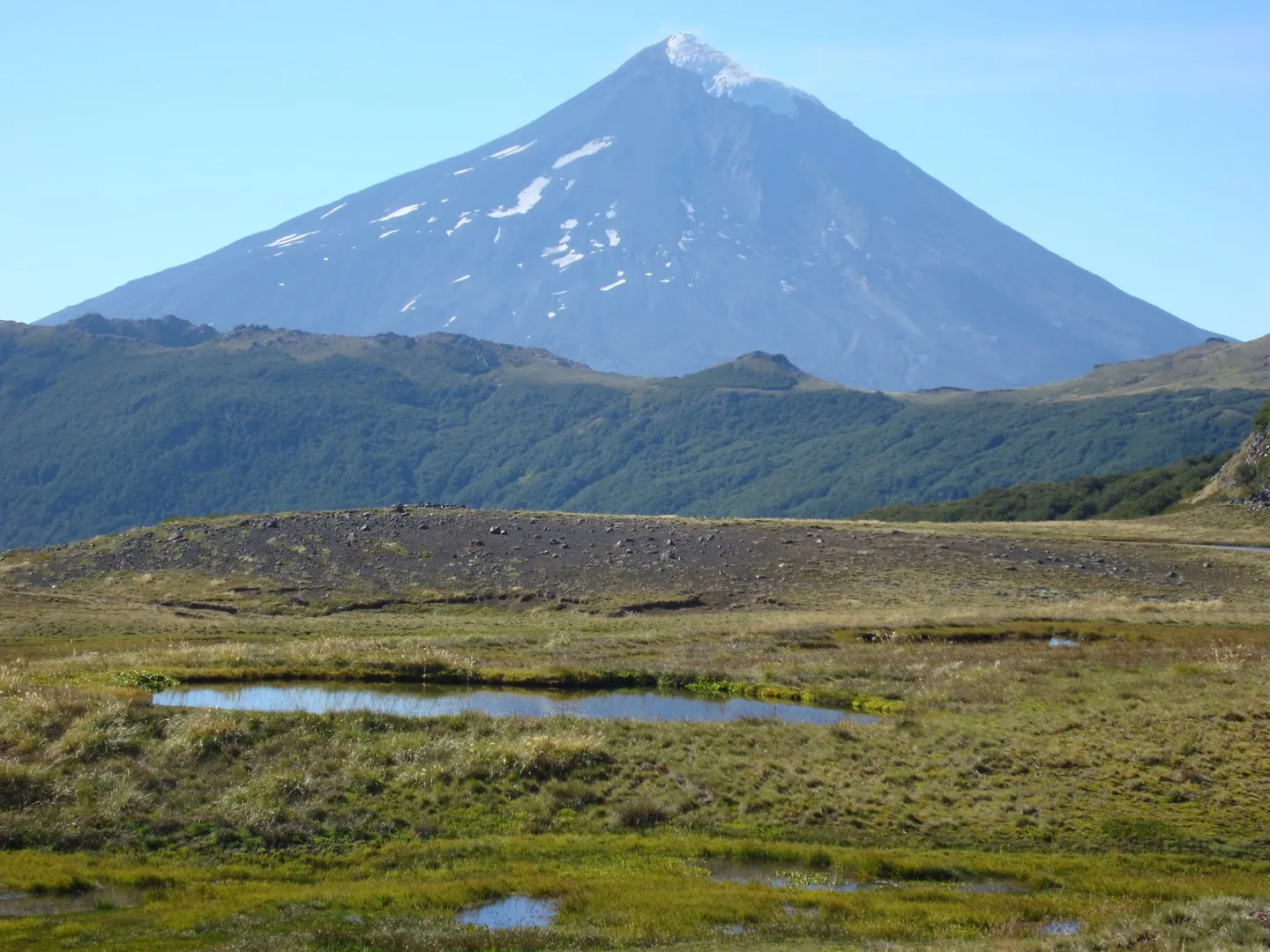 Reserva Nacional Villarrica