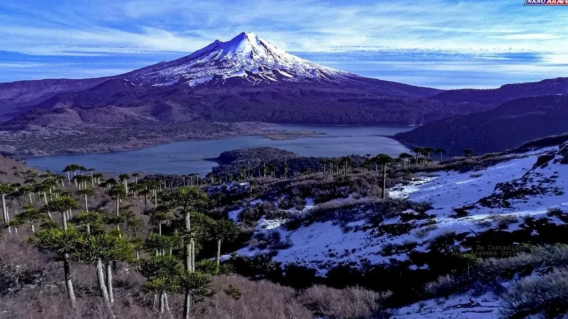 Volcán Llaima