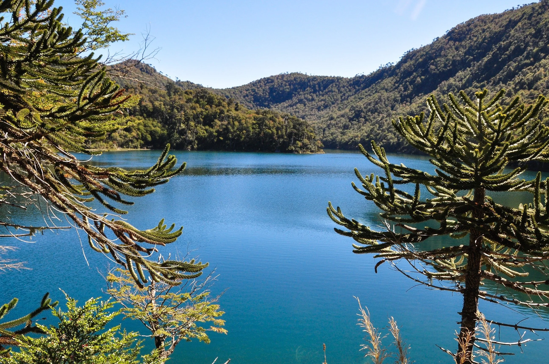 Parque Nacional Huerquehue