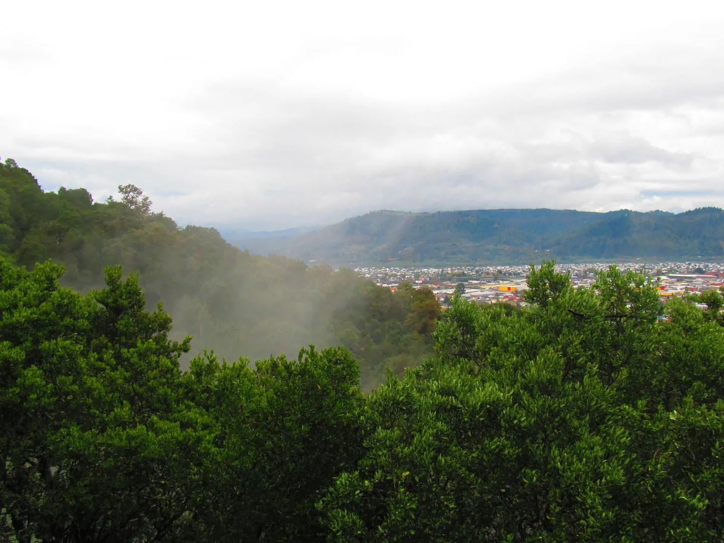 Monumento Natural Cerro Ñielol