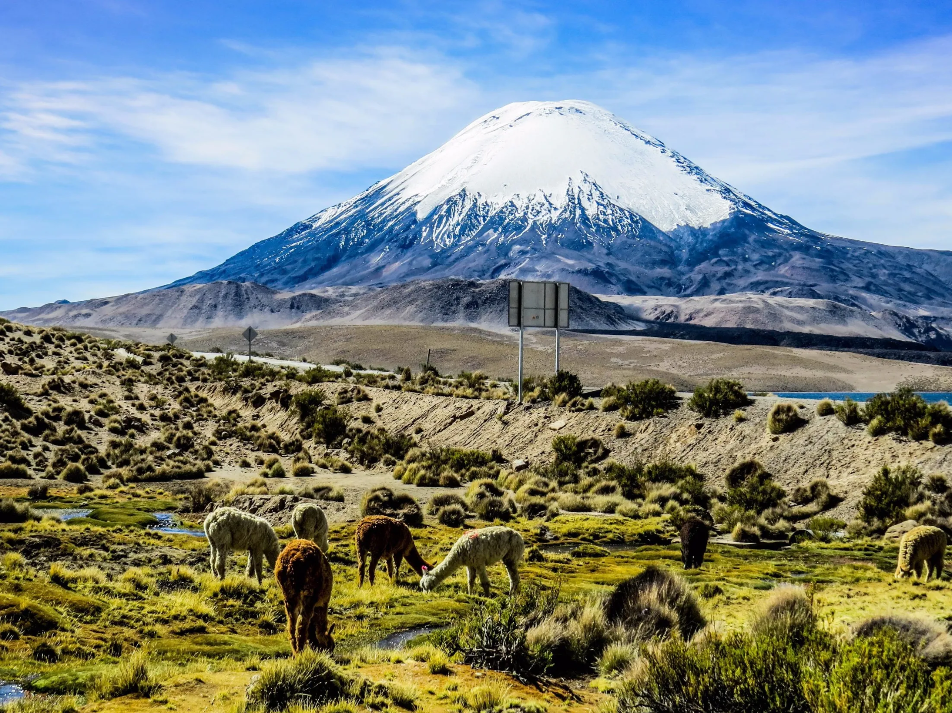 Parque Nacional Lauca