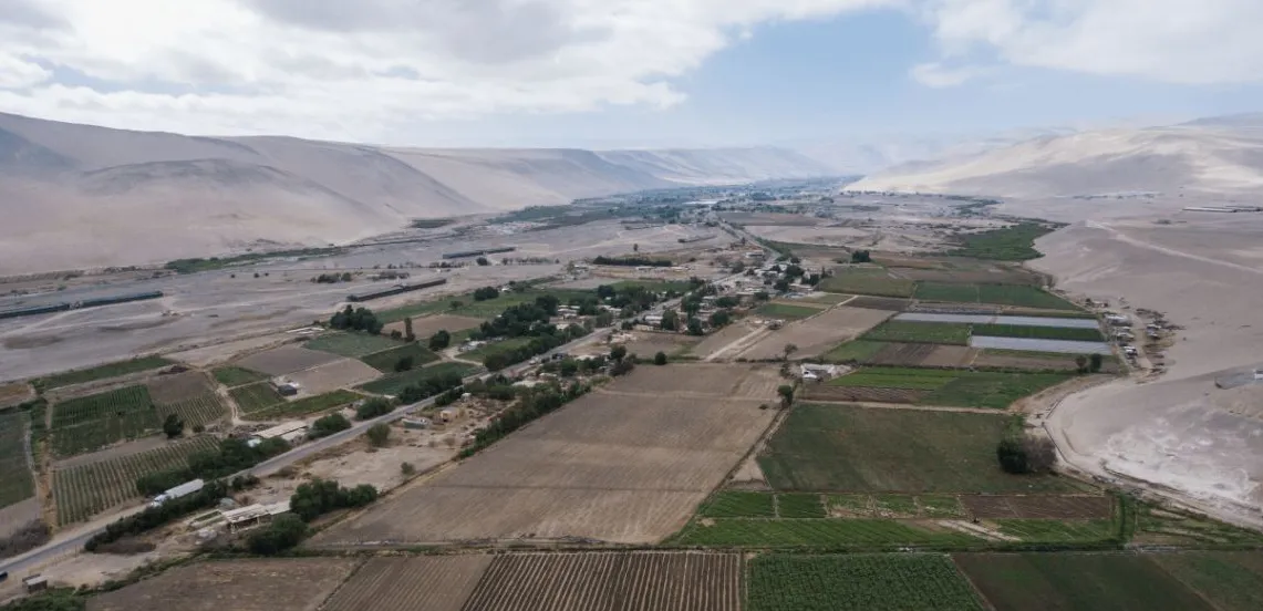 Valle de Azapa