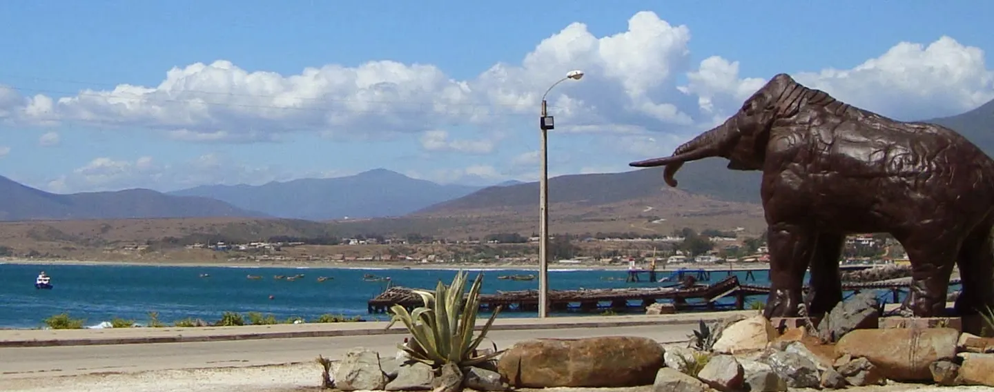 Playa Los Pescadores