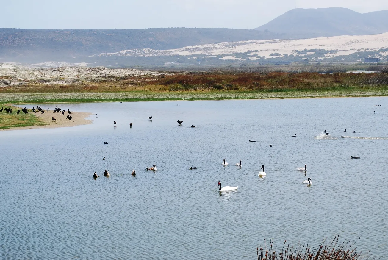 Reserva Nacional Laguna Conchalí