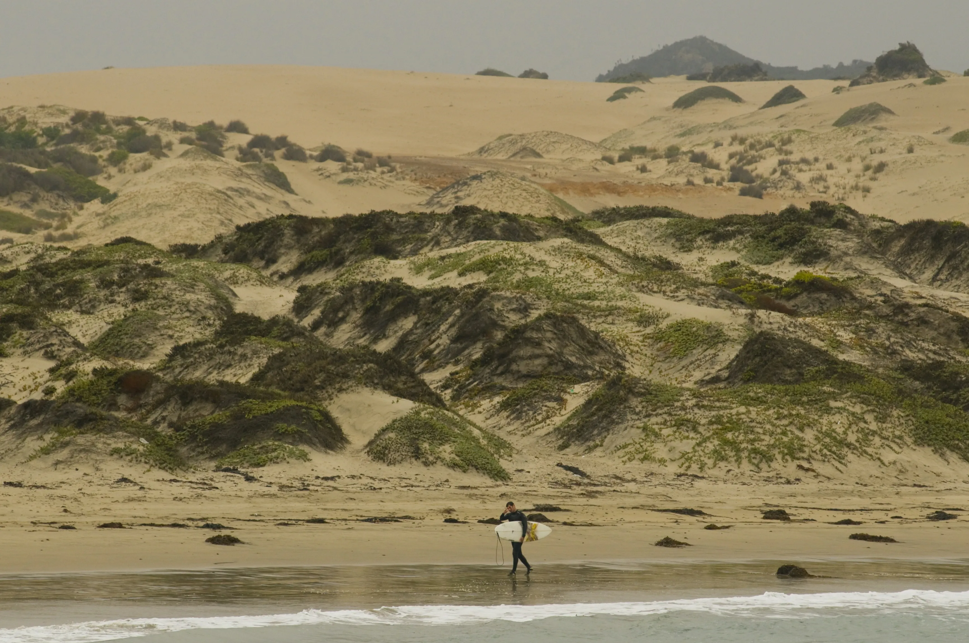 Sitio Arqueológico Pichidangui