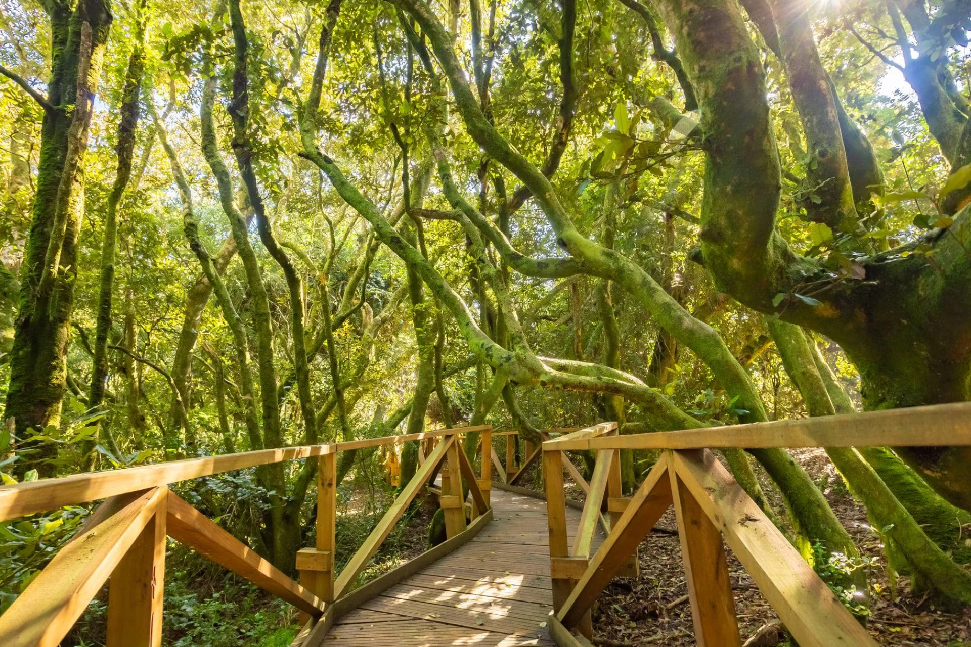 Parque Nacional Bosque de Fray Jorge