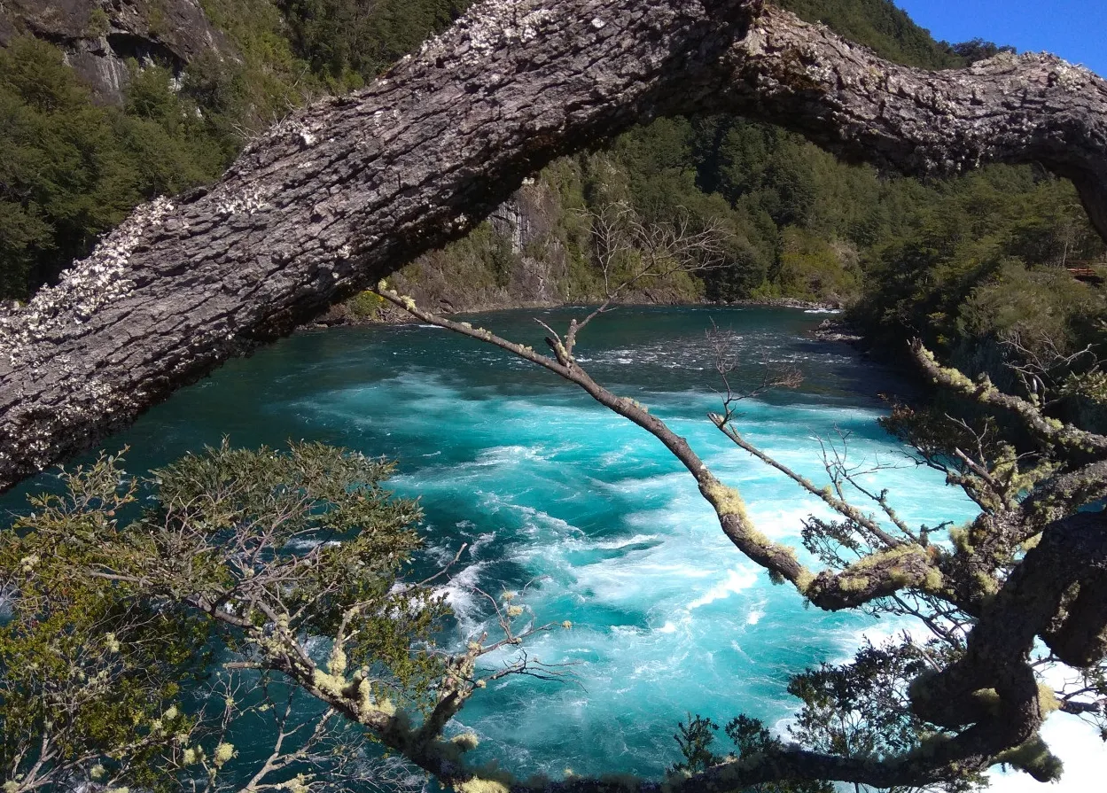 Parque Nacional Vicente Pérez Rosales