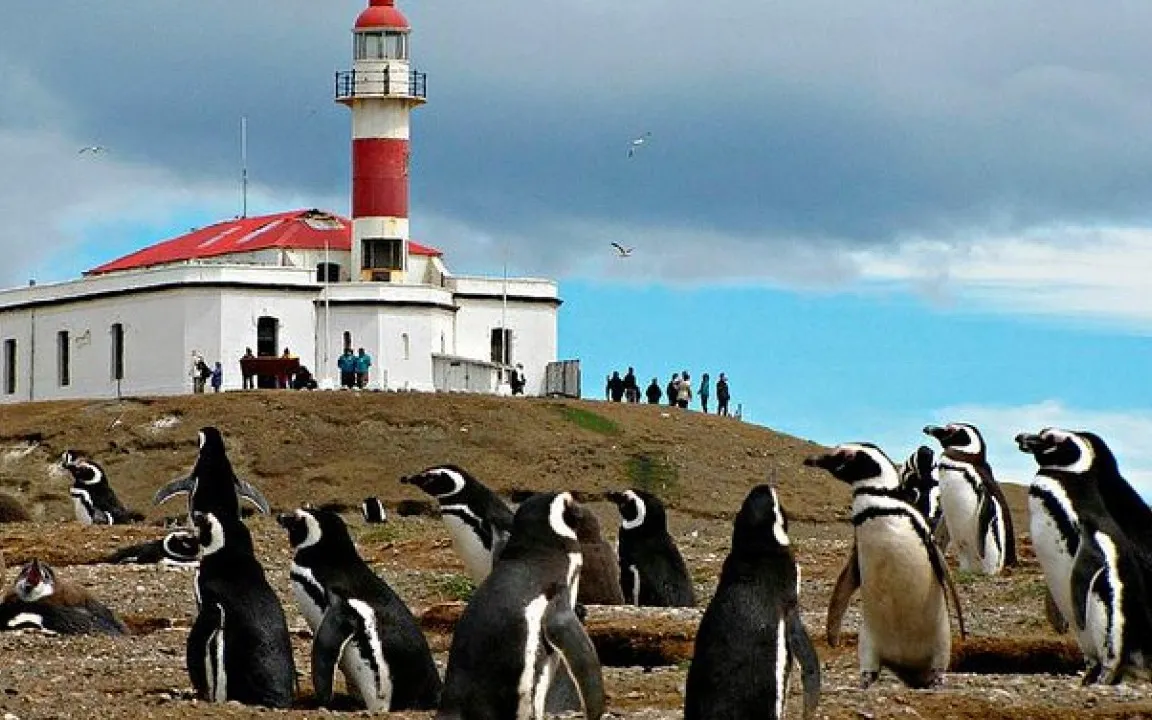 Isla Magdalena