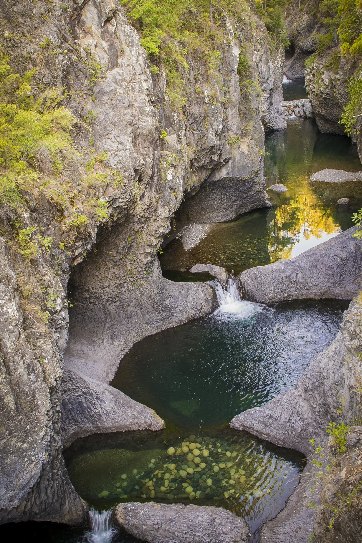 Reserva Nacional Radal Siete Tazas