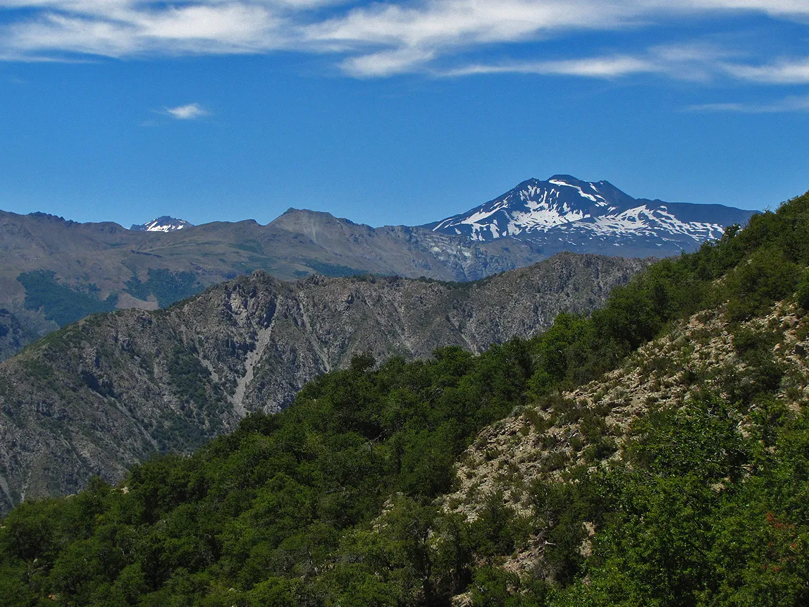 Reserva Nacional Los Bellotos del Melado