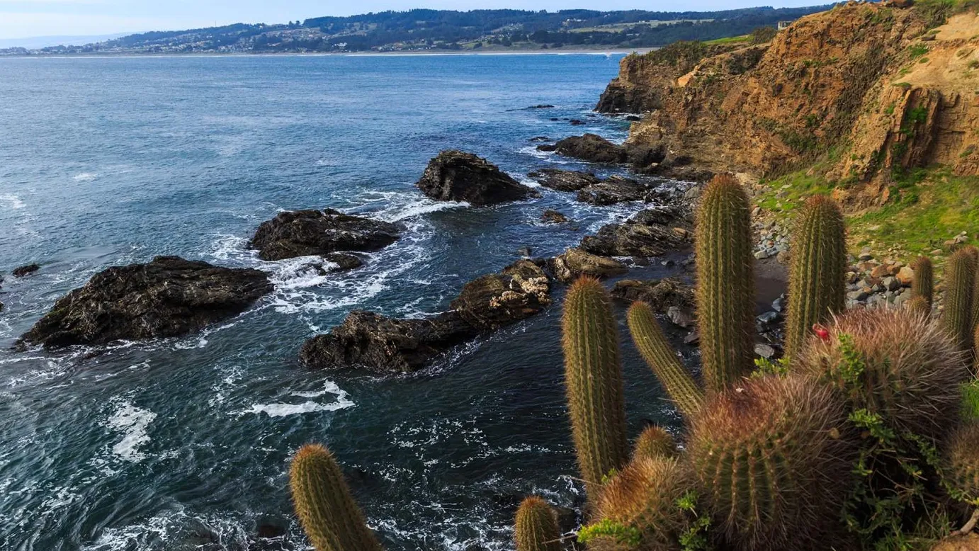 Punta de Lobos