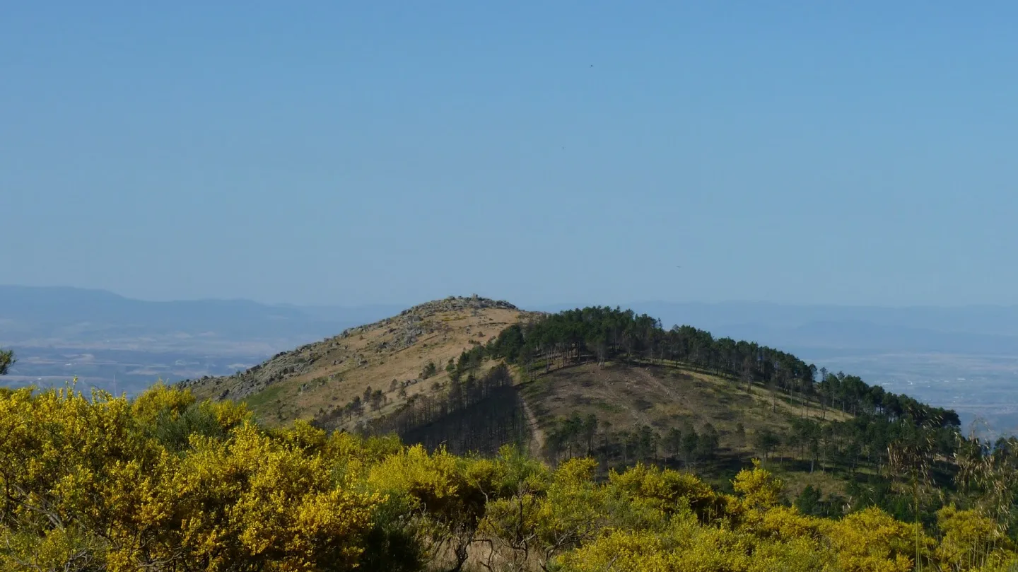 Cerro San Vicente