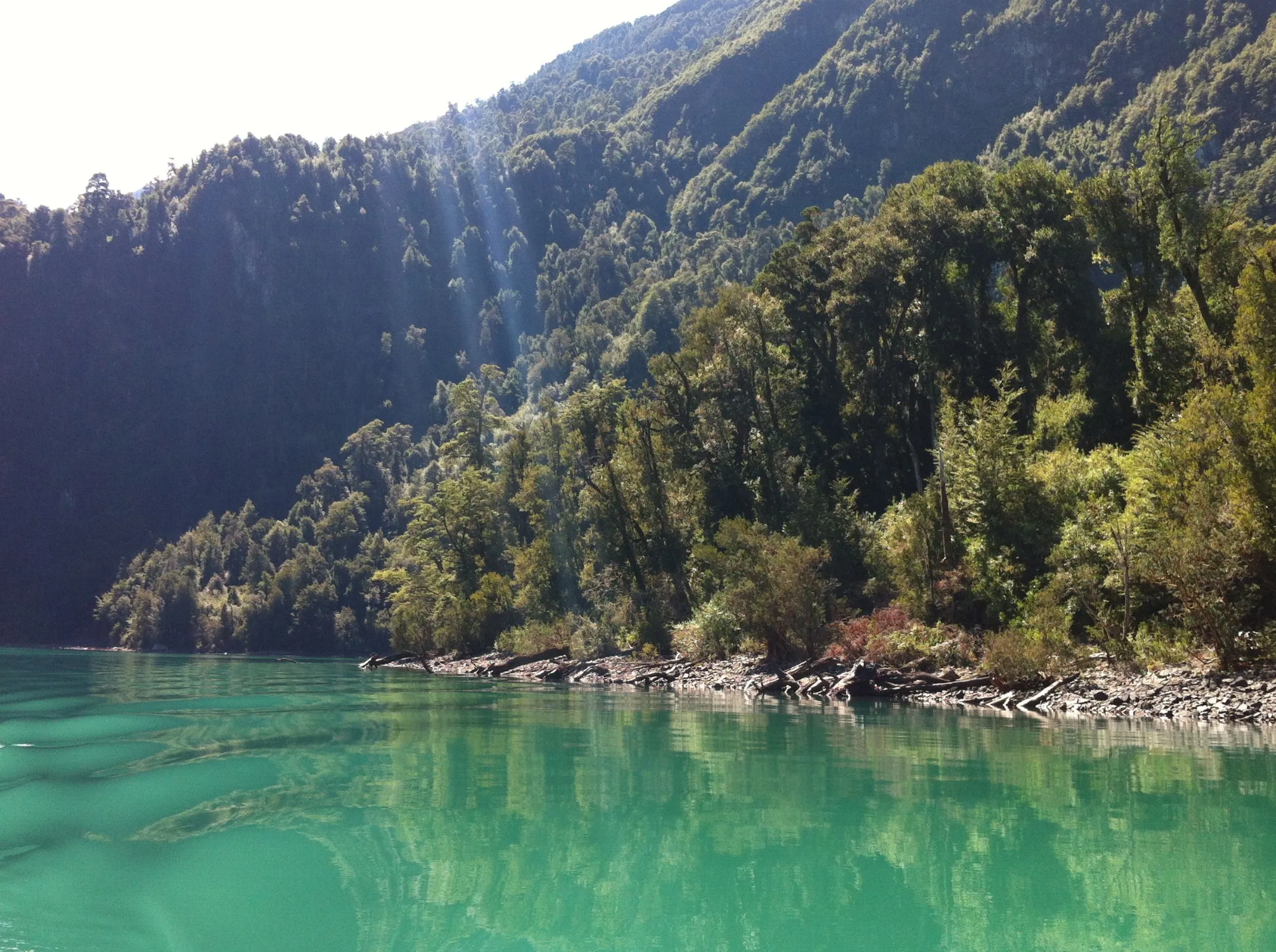 Laguna de Tagua Tagua