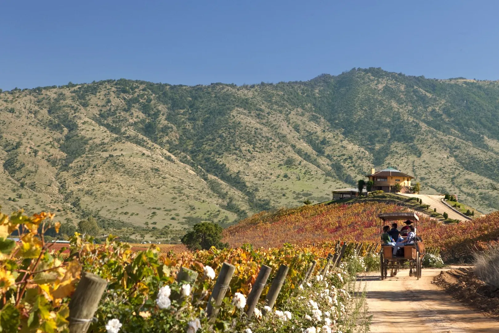 Ruta del Vino de Colchagua