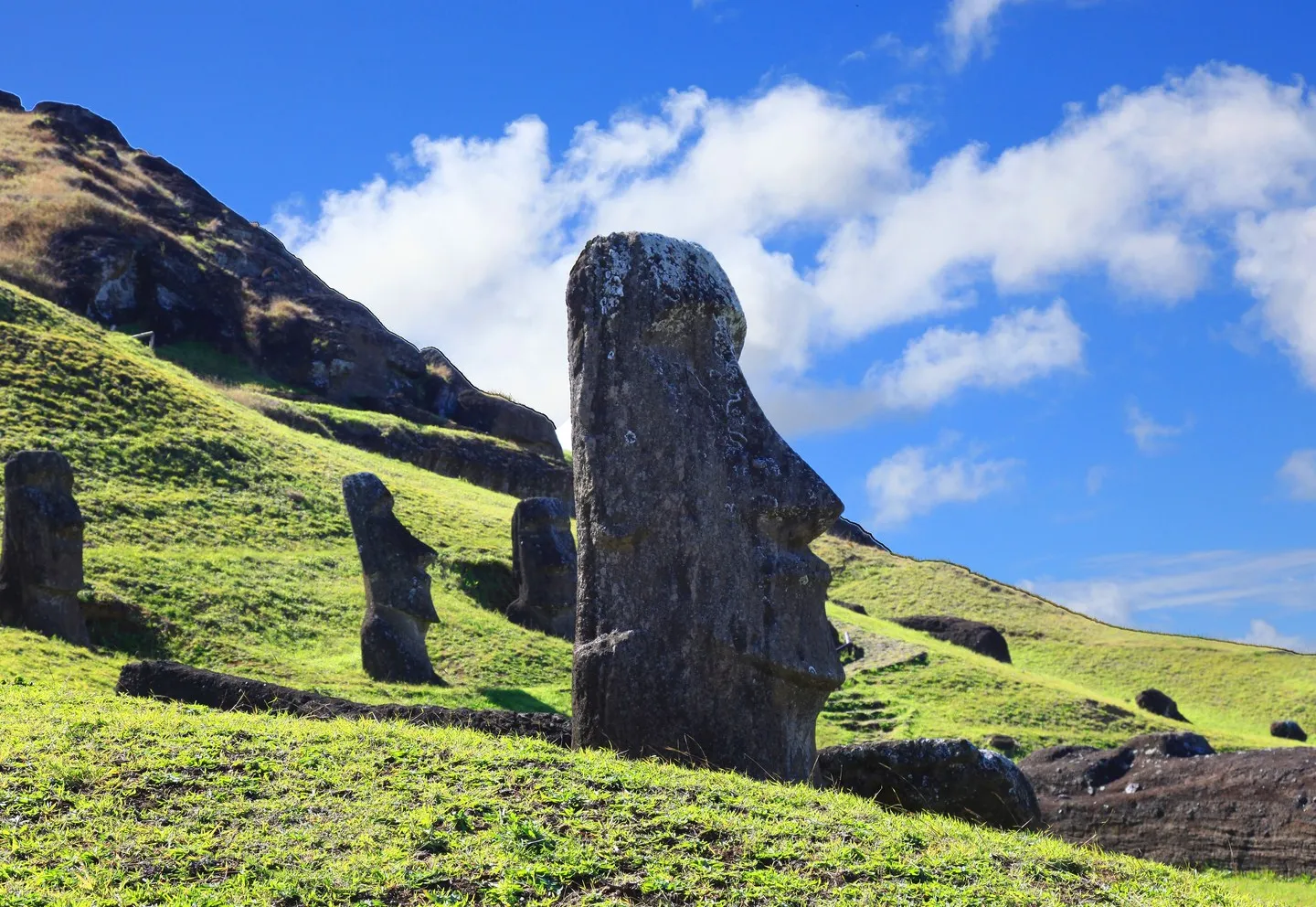 Rano Raraku