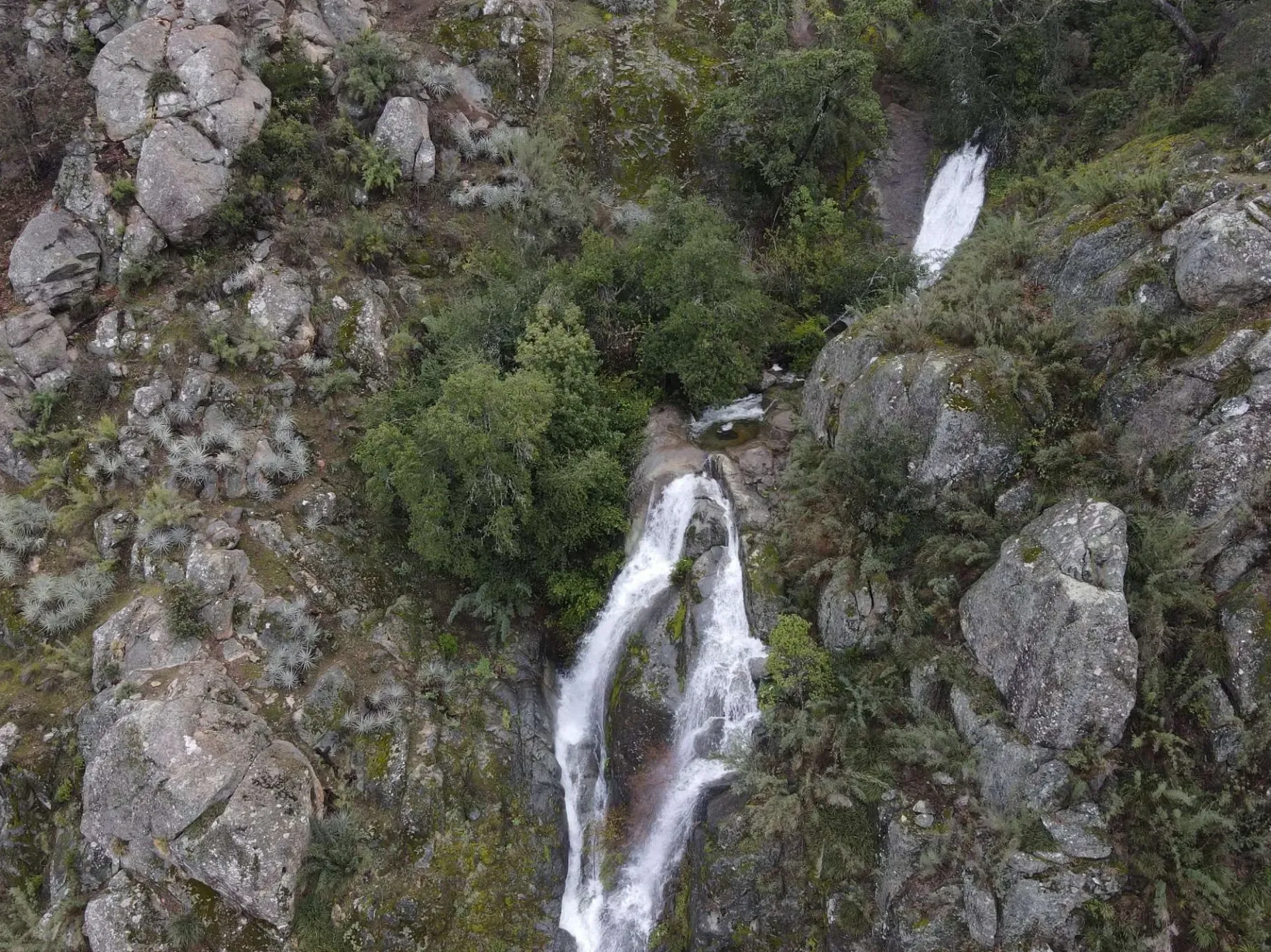 Santuario de la Naturaleza Cerro El Boco