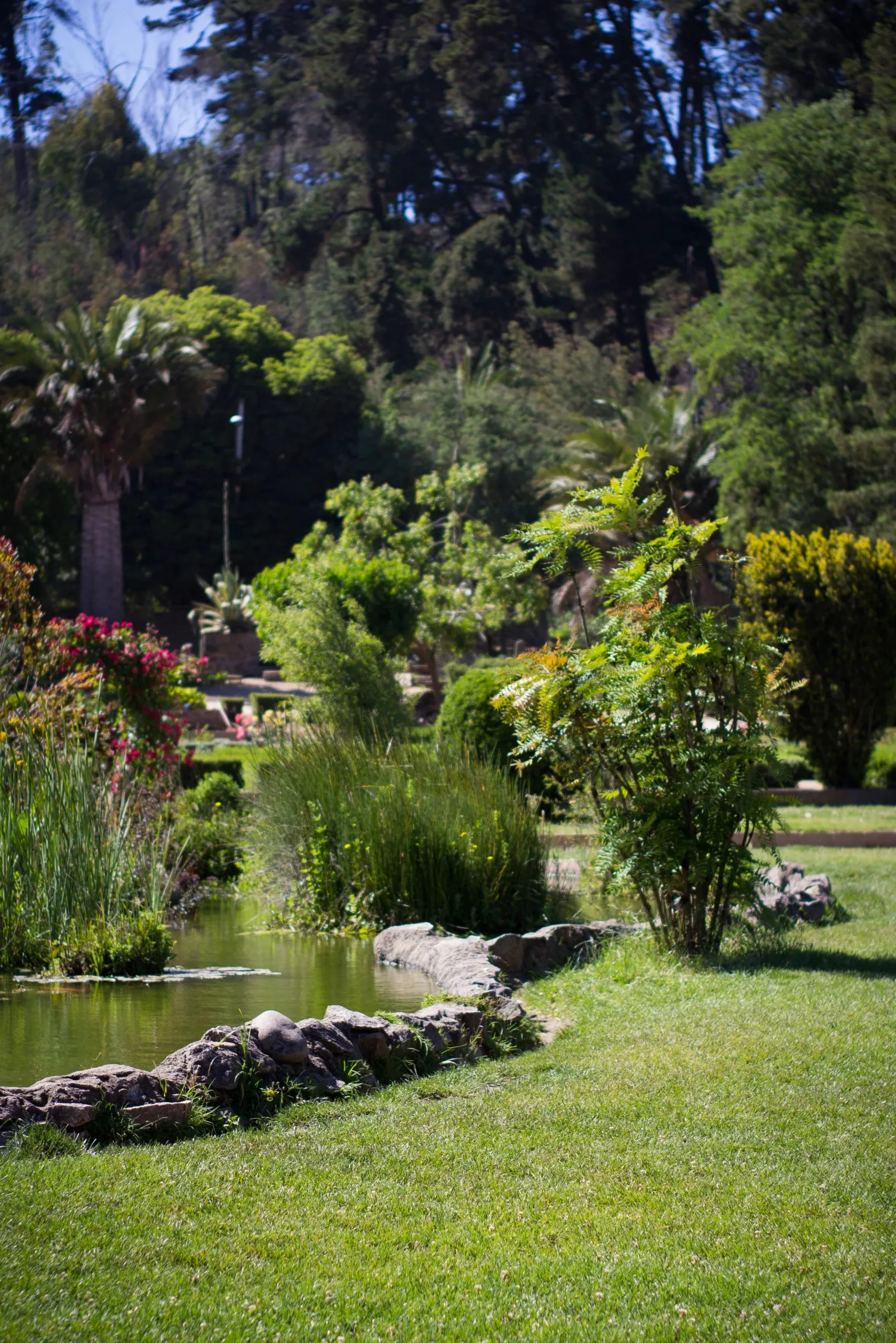 Jardín Botánico Nacional