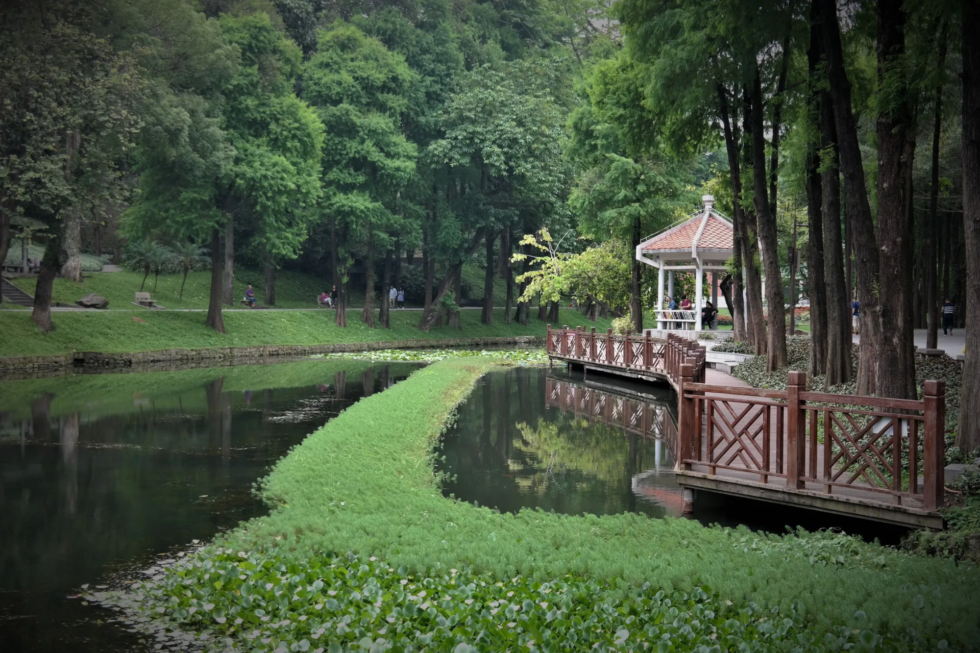 Parque Yuexiu