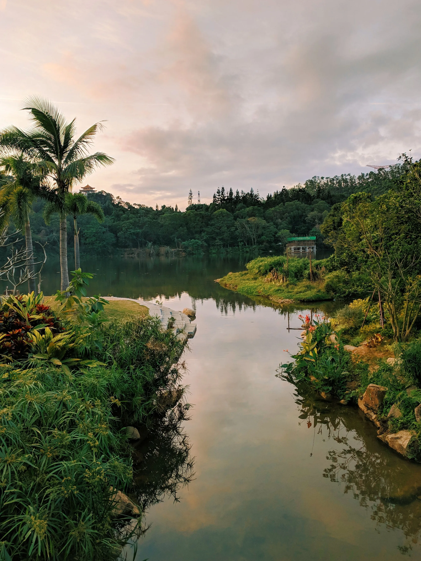 Fairy Lake Botanical Garden