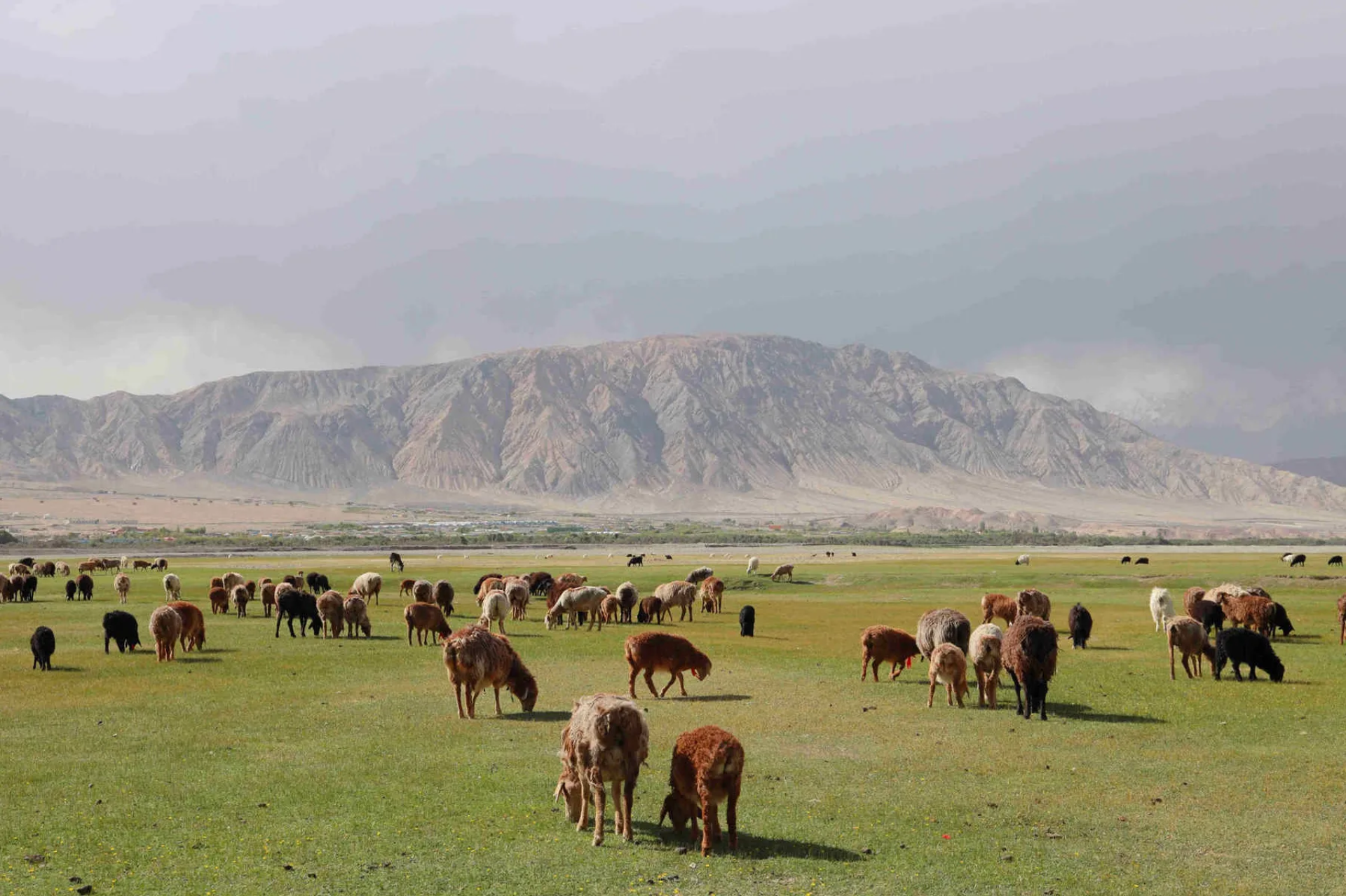 Meseta de Pamir