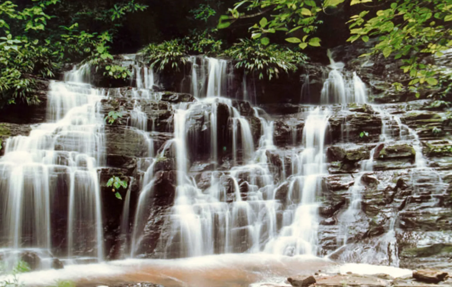 Parque Nacional Natural Los Katíos