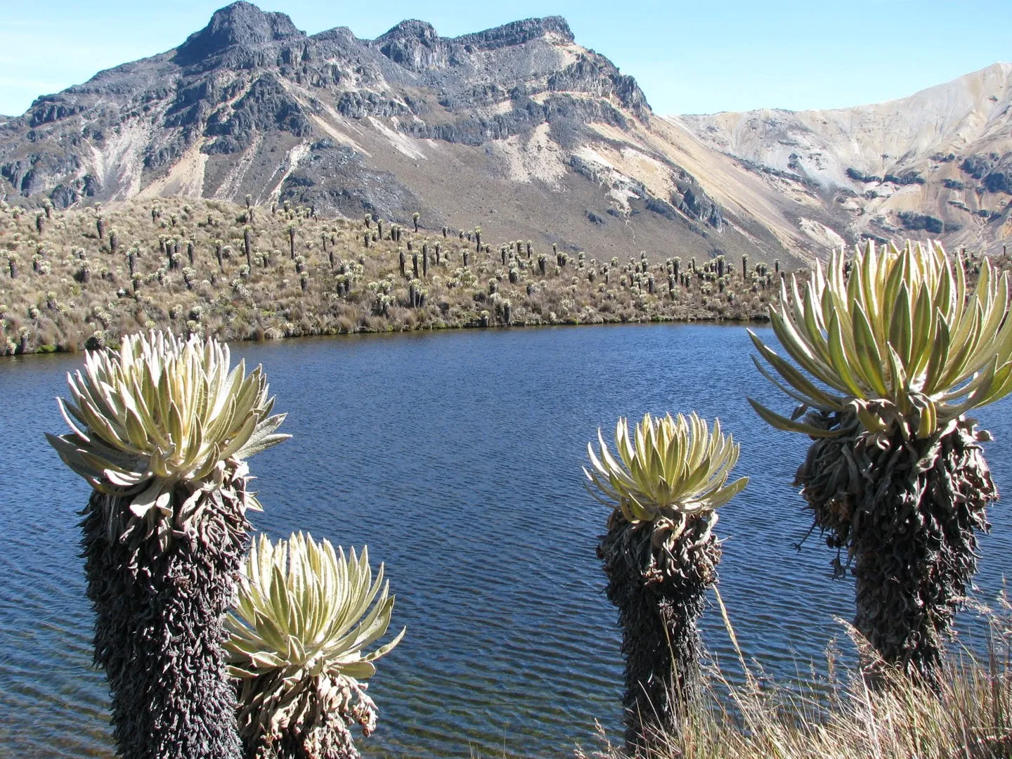 Parque Nacional Natural Los Nevados