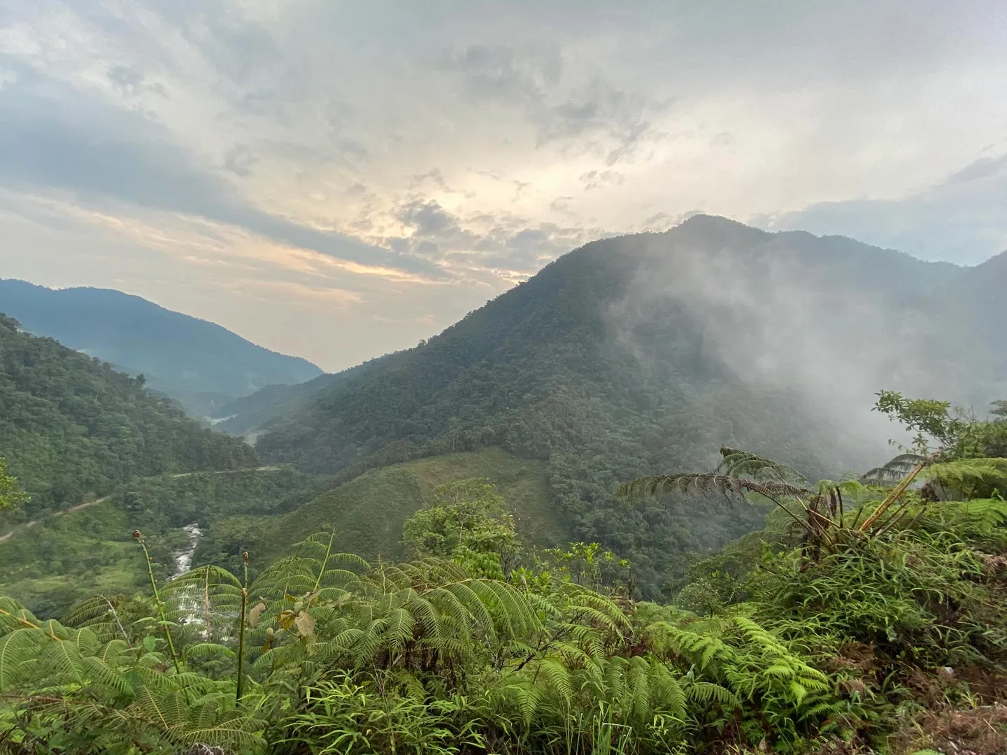 Cascada Las Dalias