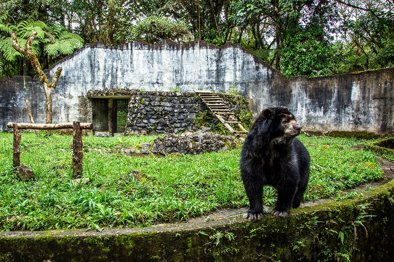 Reserva Natural La Planada