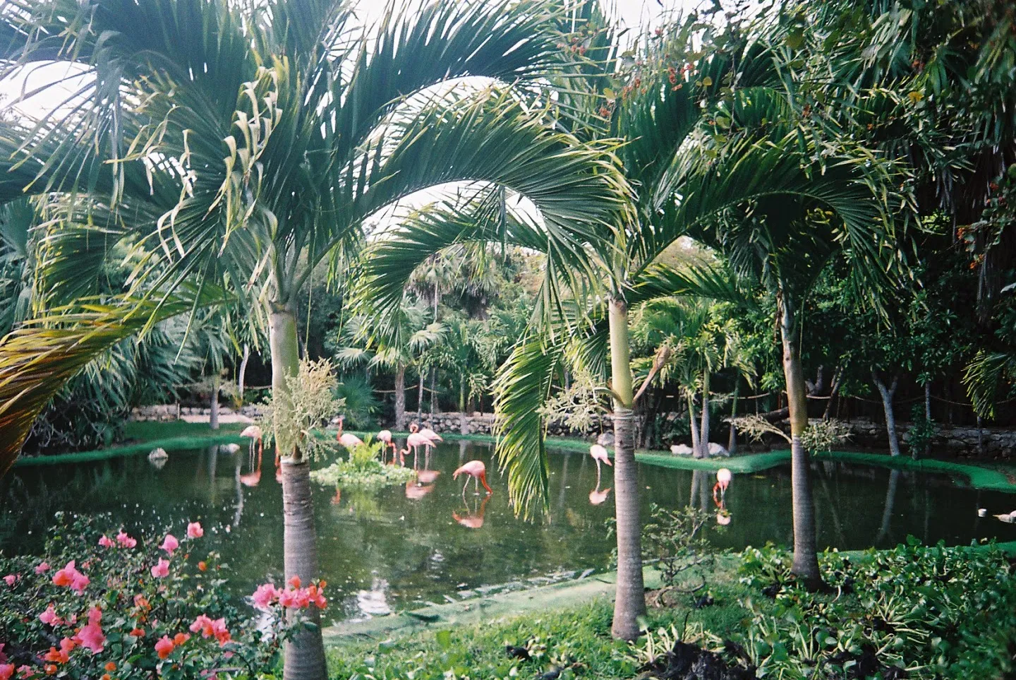 Santuario Ecoturístico de Fauna y Flora La Loma de Bolívar