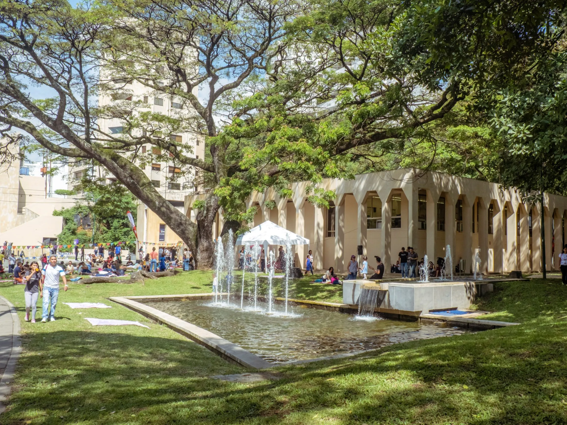 Museo La Tertulia