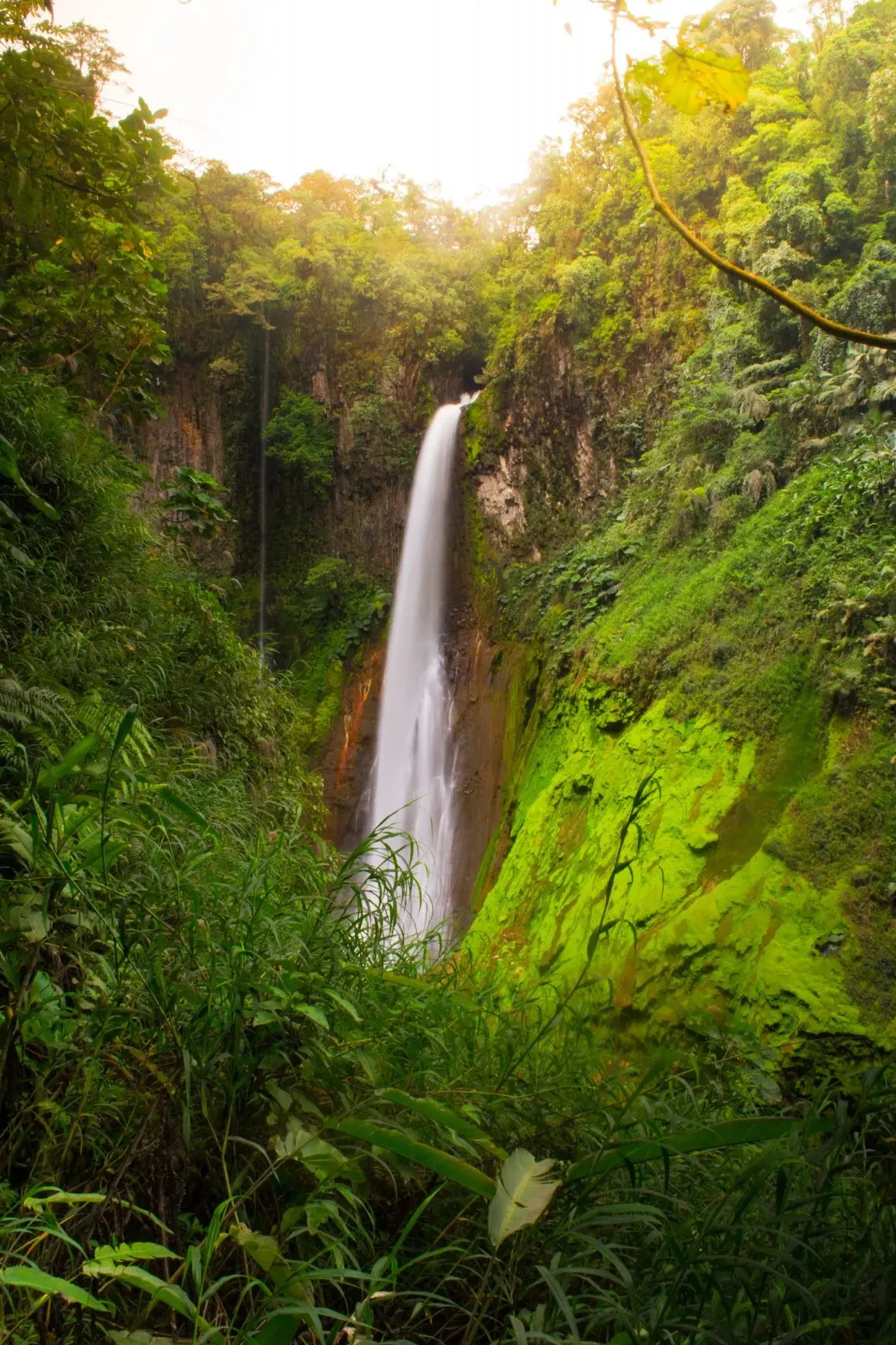 Catarata del Toro