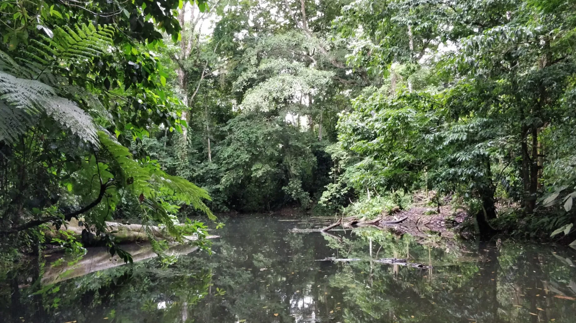 Ecocentro Danaus