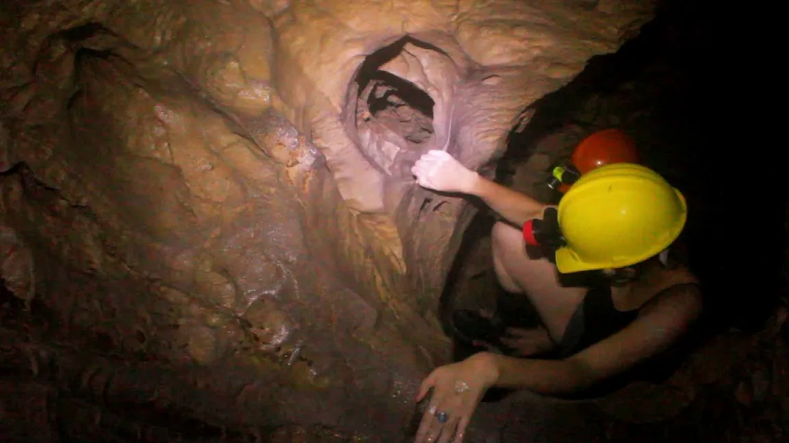 Cavernas de Venado