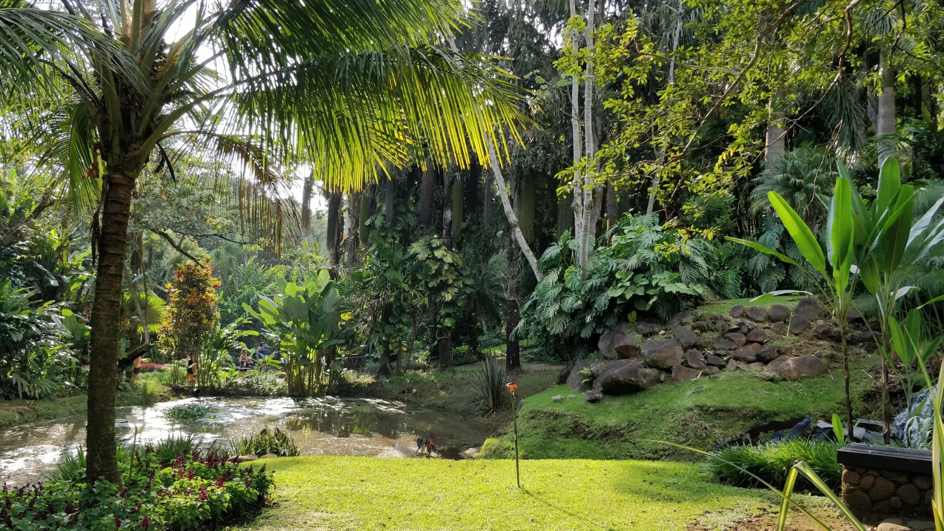 Jardín Botánico Else Kientzler