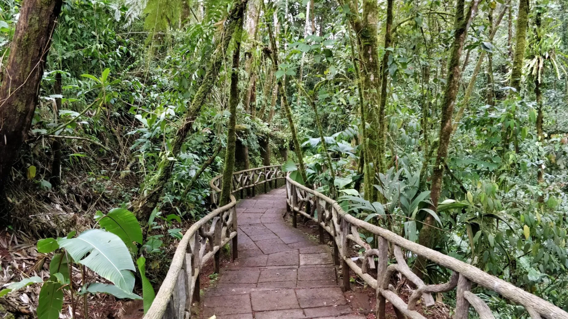 Bosque de Paz