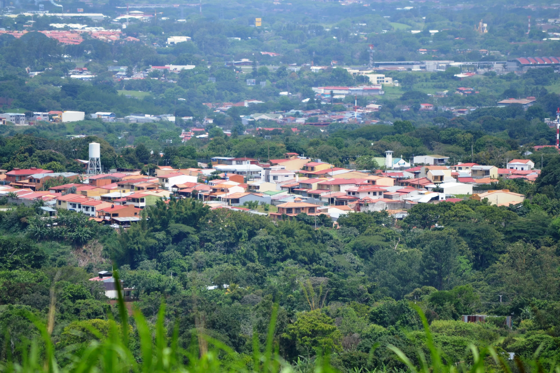 Mirador La Palmera