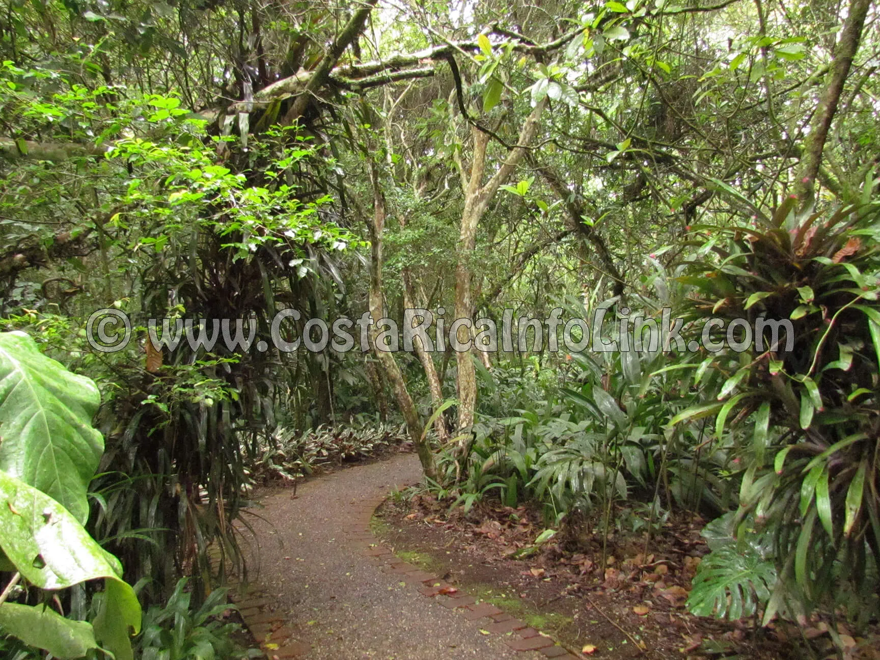 Jardín Botánico Lankester