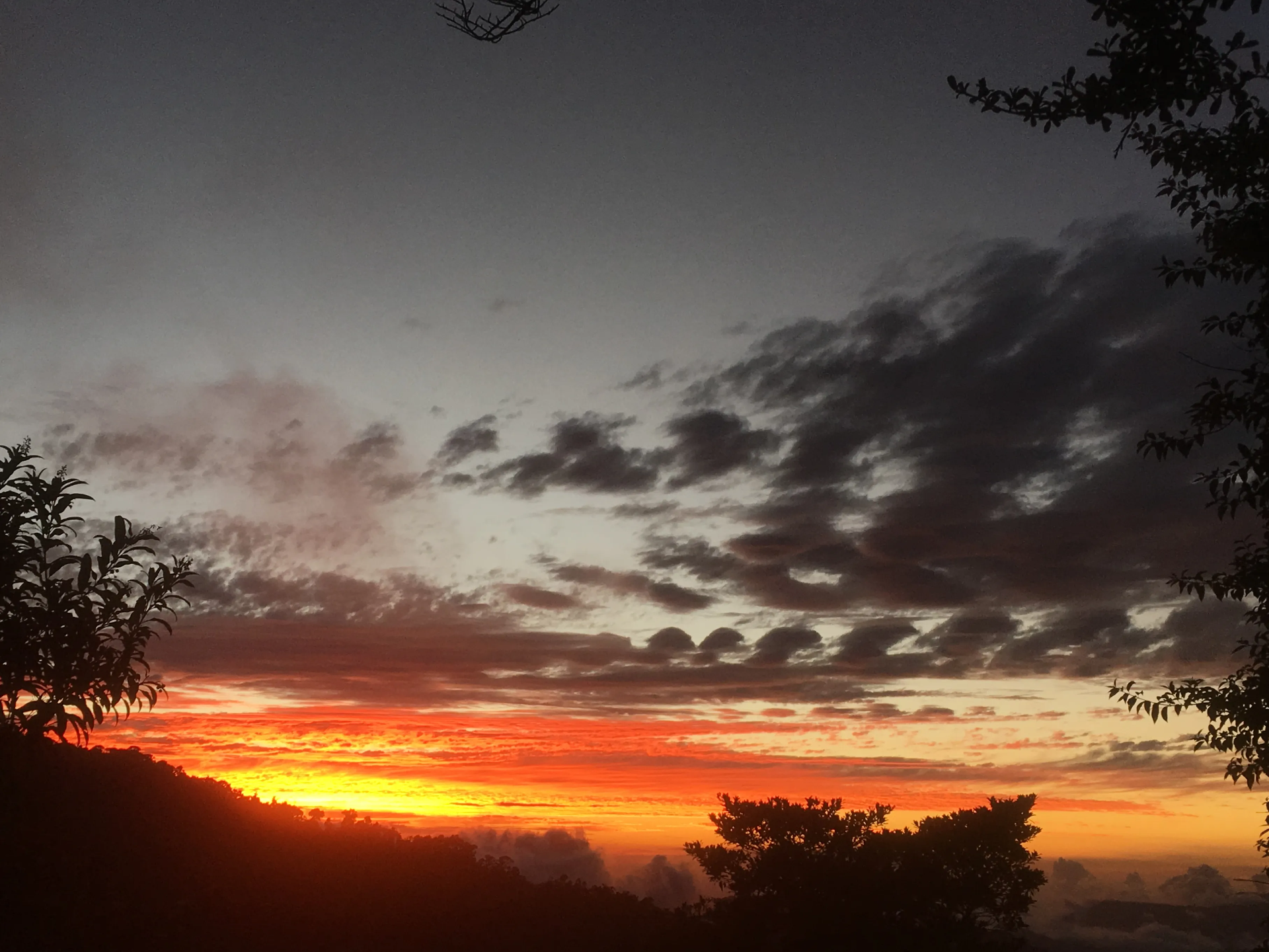 Reserva Biológica Los Quetzales