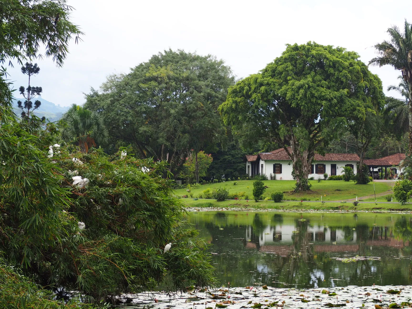 Jardín Botánico CATIE