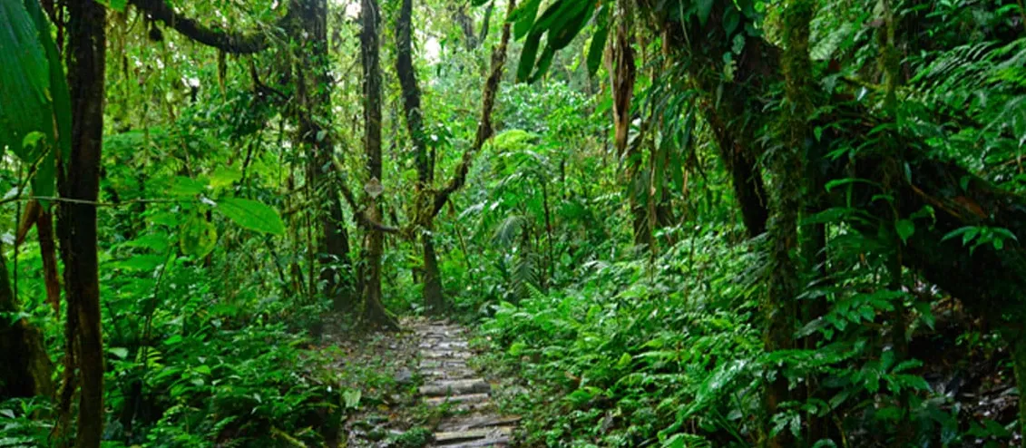 Reserva Biológica La Marta