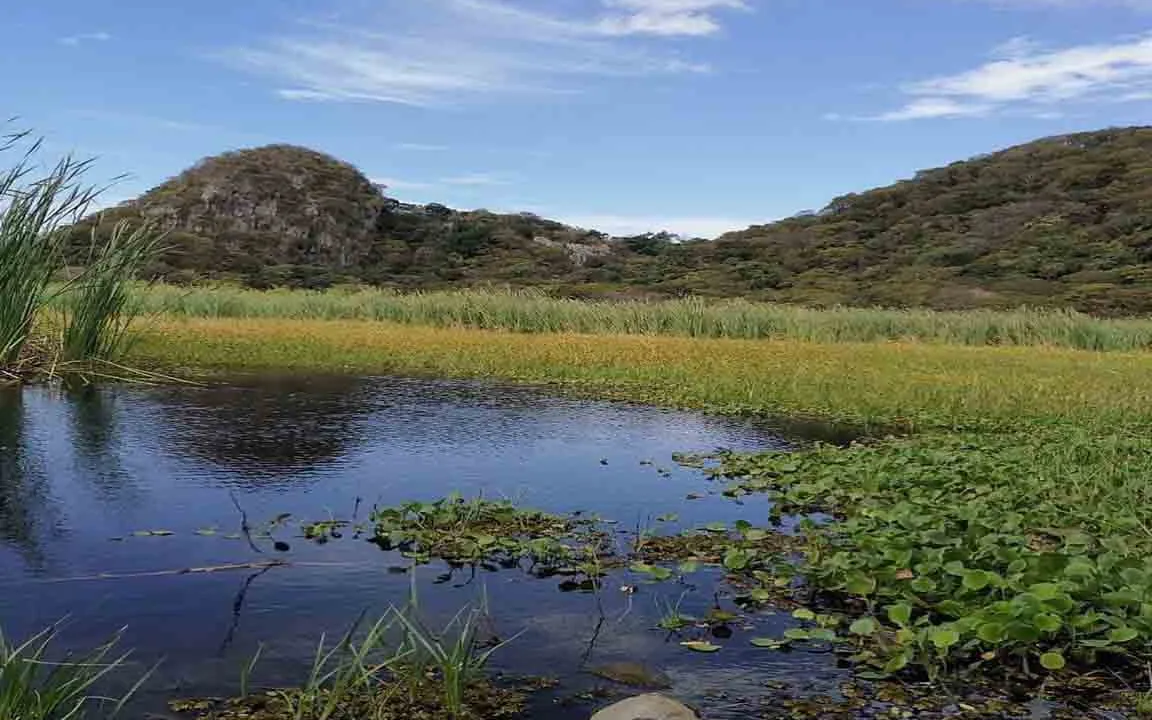 Parque Natural Palo Verde