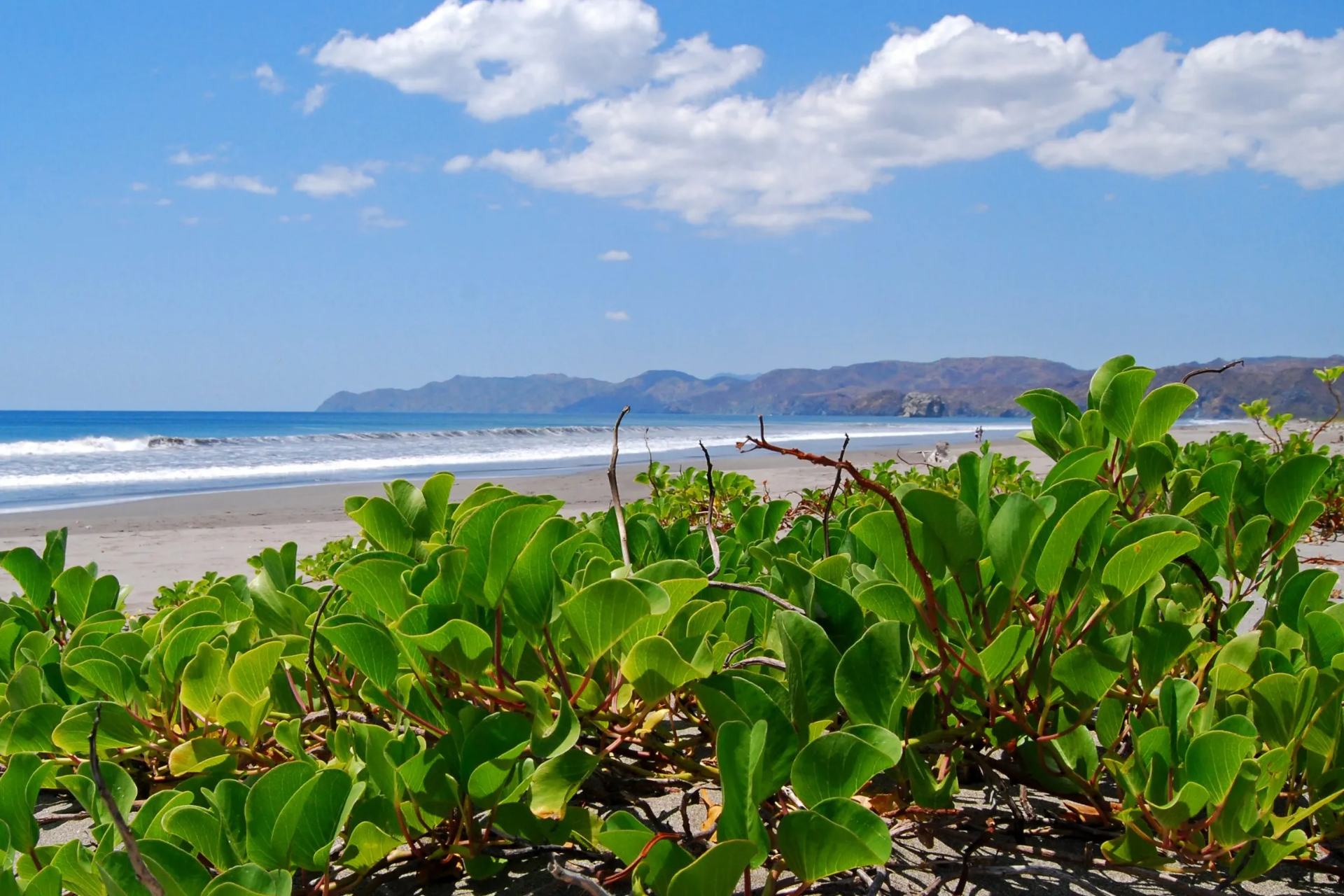 Parque Nacional Santa Rosa